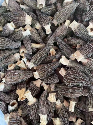 Wholesale 5-8cm Morel Mushrooms Dried Morchella Esculenta