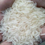 All kind of rice