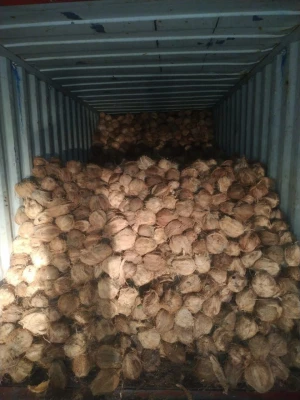 Coconut Fiber, Cocopeat Waste Derivatives Product