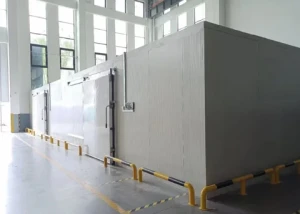 10 Years Warranty Cold Storage Room for Fruits Vegetables Meat Fishes