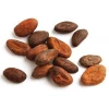 100% quality roasted Cocao beans.