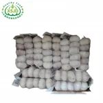 10kg mesh bag fresh garlic