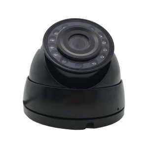 1.3MP 2.0MP AHD Colour Dome Cold Resistance Camera for Freezer Refrigerated Truck