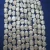 Import 17x21 mm rectangle baroque loose freshwater pearl in strand from China