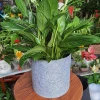 2 gallon No handle Non Woven Fabric Pots  Garden Pots Felt Plant Growing Bags