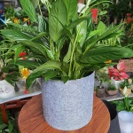 2 gallon No handle Non Woven Fabric Pots  Garden Pots Felt Plant Growing Bags