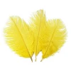 20-25cm New Orange Ostrich Feathers for Halloween Decorations
