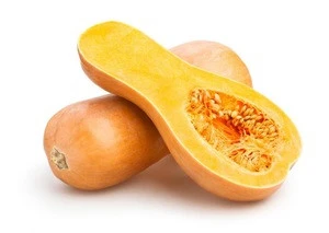 2019 Fresh Butternut Squash for sale at good price