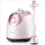 Import 2020 Hot selling Professional handheld steam iron multifunctional Garment Clothes Steamer from China