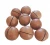 Import 2020 New Crop wholesale Retail Big Size Macadamia Nut With 23-65mm from China