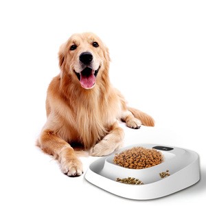 2020 wholesale manufacturer smart slow eating feeder plastic travel outdoor indoor dog pet bowl food scale