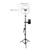 2021 Hot Selling 10inch LED Ring Light with 2.1m tripod, Photographic lighting&Youtube