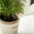 Import 2021 indoor recycled plastic easy pour watering plants can garden from China