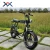 Import 2021 Power Long Seat Electric Fat Bike 500w Rear Motor Retro Model Electric Bicycle 73 from China