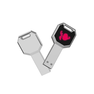 2022 portable metal customized logo glowing key chain usb flash drive gift storage usb stick flash memory 4/8/16/32/64 GB