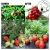 Import 20w dual heads clip plant led grow light for Garden indoor plants grow lighting from China