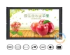 21.5 Inch Ultra Bright Open Frame TFT Color High Brightness Screen 1000 Nits Lcd Monitor Display