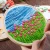 Import 25 years factory custom DIY embroidery kit, tapestry needlepoint kits, cross stitch &amp; cross-stitch kits for home decoration from China