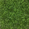 25*25CM Chinese green field prices flooring landscape fence lawn mat grass leaves artificial box hedge wall