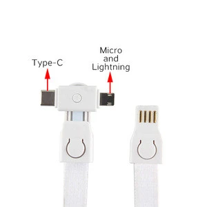 3 In 1 Customize Lanyard Keychain Usb Charging Data Cable For Micro USB Iphone Type C