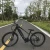 Import 350w unique design retro chopper electric mountain bike wholesale bicycles for sale ebike from China