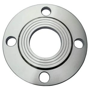 4 Inch Class 150 Asme Stainless Steel Blind Flange