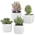 Import 5pcs Wholesale Cheap Indoor Mini Artificial Succulent Plants Potted for Home Decor from China