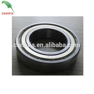 6202/6204/6007Z-2RS rubber coated deep groove ball bearing