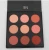 Import 9 colors make up private label high pigmented blush palette from China