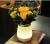 Import A3095  Home Bedroom Decor Atmosphere Vase Light Coffee Shop Rechargeable Bar Lighting LED Night Vase Lamp from China
