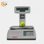 Accuracy 30kg Printing function retail scale cash register scale