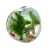 Import Acrylic Wall Decoration Suspensible Water Curved Fish Tank from China
