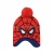 Import acrylic winter knitted hat for women from China