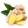 Agriculture Of Thailand Fresh Ginger Price