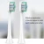 Import Aiwejay Professional Manufacturer Adult Sonic Electronic Electric Toothbrush Replacement Changeable Brush Head from China