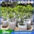 Import  China manufacturer supply 30cm Garden root control pots from China