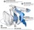 Import  Amazon Top Seller Easybreath 180 full face Snorkel Mask anti fog diving mask with two snorkel from China