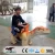 Import amusement park rides Interactive dinosaur rides from China
