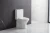 Import ANBI 2021 Superb Two Piece Rimless Designer Ceramic WC toilet Wholesale P Trap InodoroToilet Bowl from China