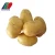 Import Authenticated GAP New Crop Fresh Potato, Potato Farm, Natural Organic Fresh Wholesale Bulk Potatoes from China