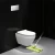 Import Automatic WC Toilet Concealed Cistern Wall Hung from China