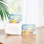 Bathroom Portable Toilet Bowl Cleaning Sheet Eco-Friendly Biodegradable Detergent Toilet Cleaners Strips