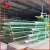 Import Battery Layer Chicken Cage For Poultry Farm With 96,120,128,160 Birds Capacity from China