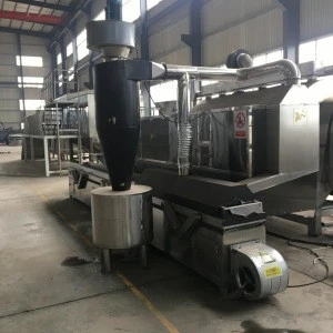 BBQ flavored taste salty sunflower seeds drying processing machine