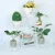 Import Best Gift Home Decoration Wholesale Plant Stand from China