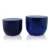 Import Best Price 300ml 500ml cosmetic blue plastic jar pet shampoo jar with screw cap/lid from China