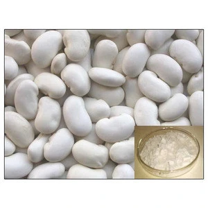 Best Quality Navy White Kidney Beans