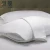 Import Best Selling Wholesale Hilton 5 Star Hotel Duck Feather And Down Pillow For Retail from China