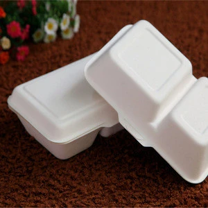 biodegradable recycled food packaging take away box with 2 compartment tray
