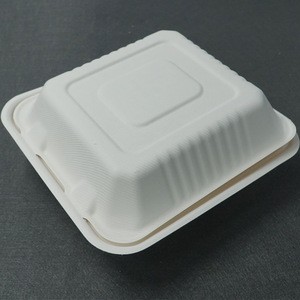 Biodegradable Tableware Disposable Dinnerware Sets
